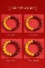 Natural Cinnabar & Realgar Yin-Yang Bracelet | Feng Shui Jewelry
