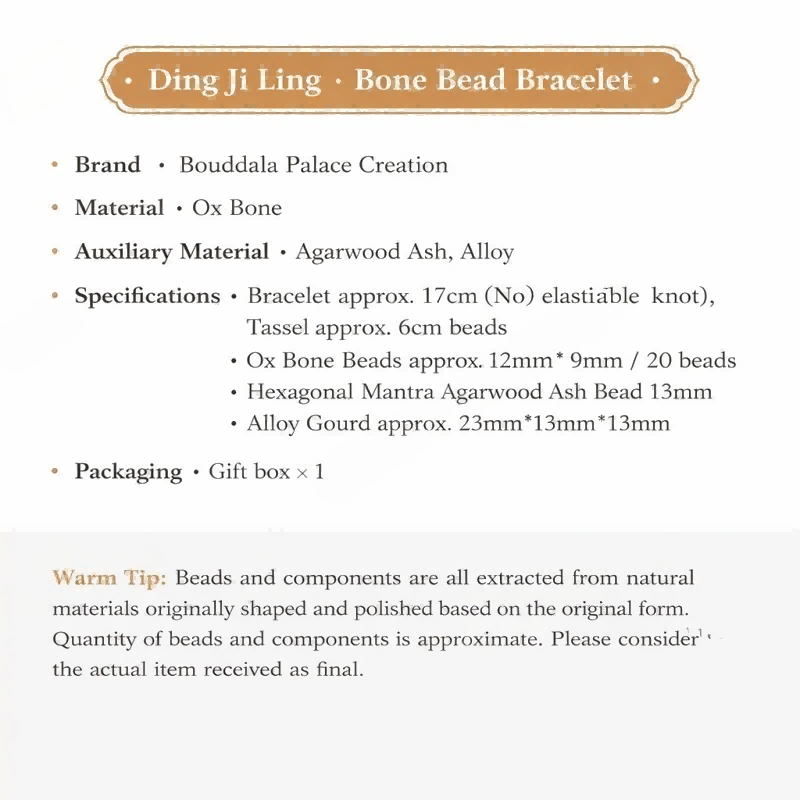 Tibetan Dzi Eye Bead Bracelet – Yak Bone Himalayan Bracelet